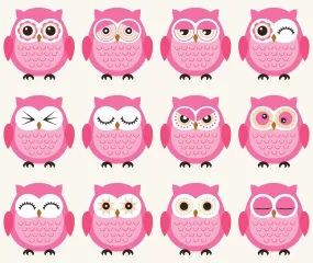 Baby Fabric, Pink Owl Fabric, Cotton or Fleece 2081