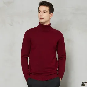 Handsome 8 Color Turtleneck Sweater