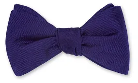 Purple Derwin Repp Bow Tie - B2655