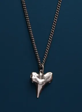 Sterling Silver Shark Tooth Necklace